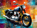 Harley-Davidson 1957 XL Sportster – Watercolor Explosion Art Print