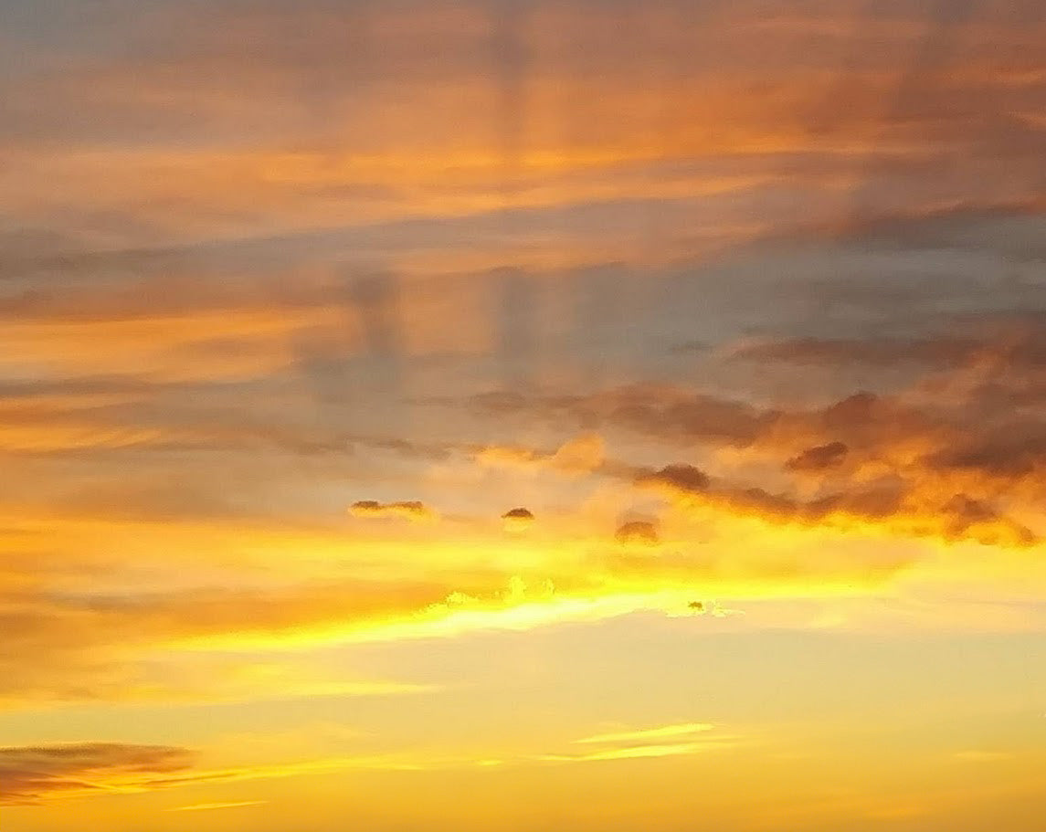 rays of sunlight