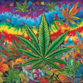 Rainbow Canna-Bliss — AI Art Print